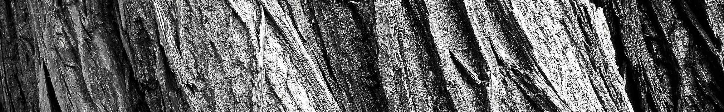 Woodgrain 05