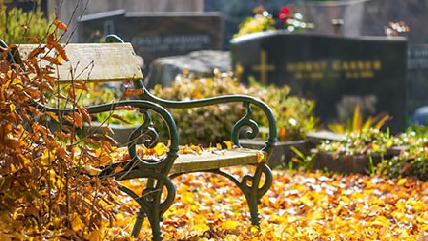cremation memorialization in  in Sterling Heights MI