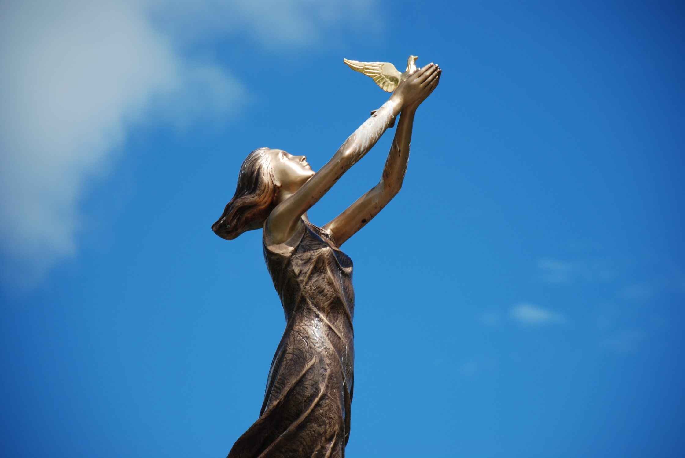 A Legacy Of Love Unraveling The Emotional Tapestry Of Kent Forest Lawn Obituaries - dnblhwl