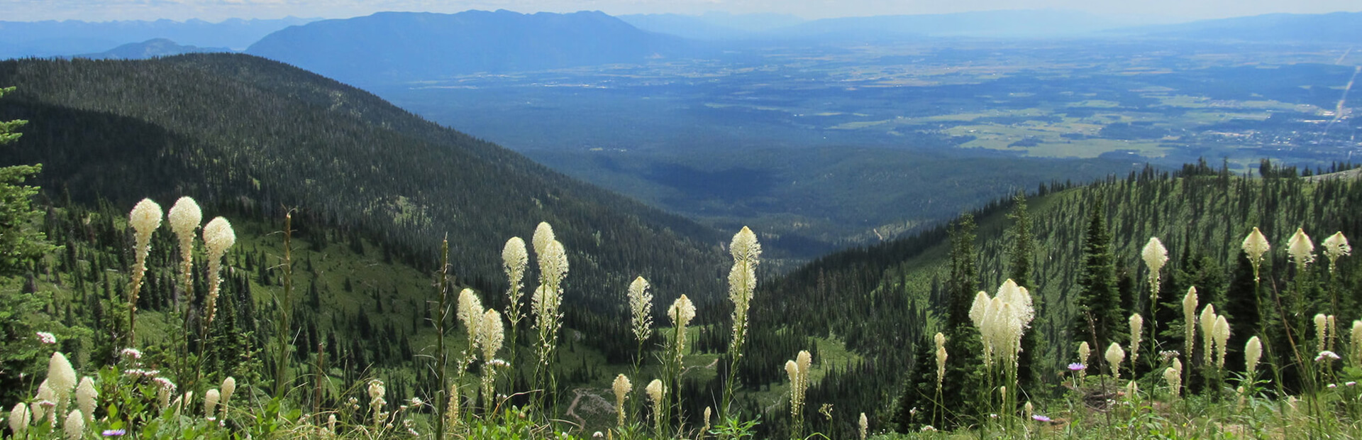 Austin Funeral And Cremation Services Whitefish Mt