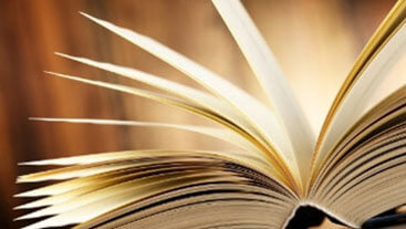 Glossary of Terms