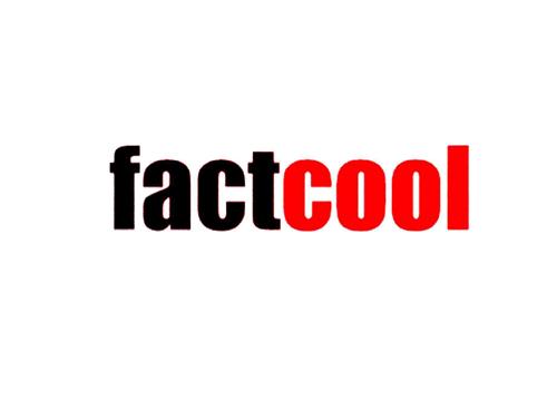 Factcool Com Интернет Магазин