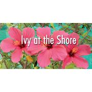 Ivy At the Shore hiring Head Chef in Santa Monica, CA