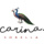 Carina Sorella hiring Bartender in Bryn Mawr, PA