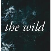 The Wild hiring Front Server in San Francisco, CA