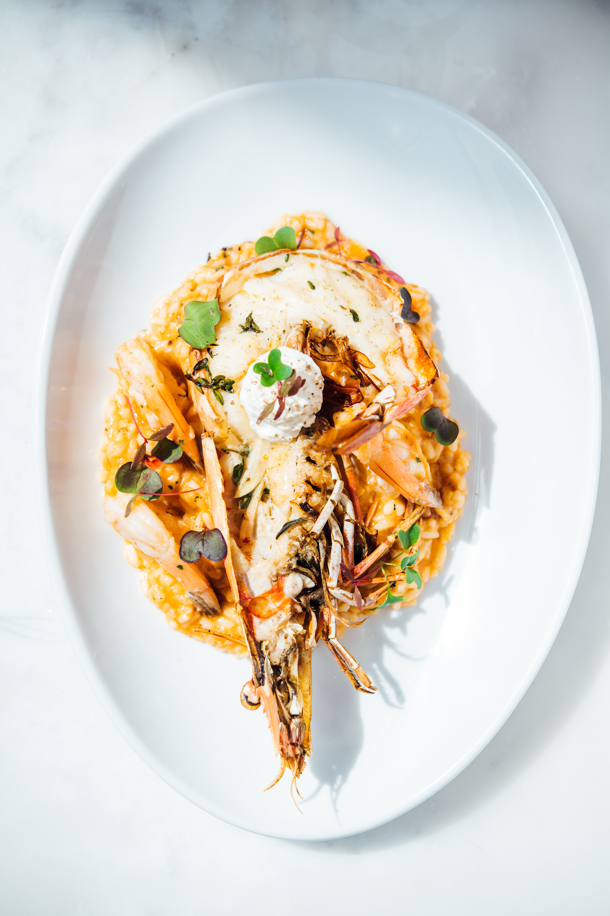 About Dal Plin | Culinary Agents