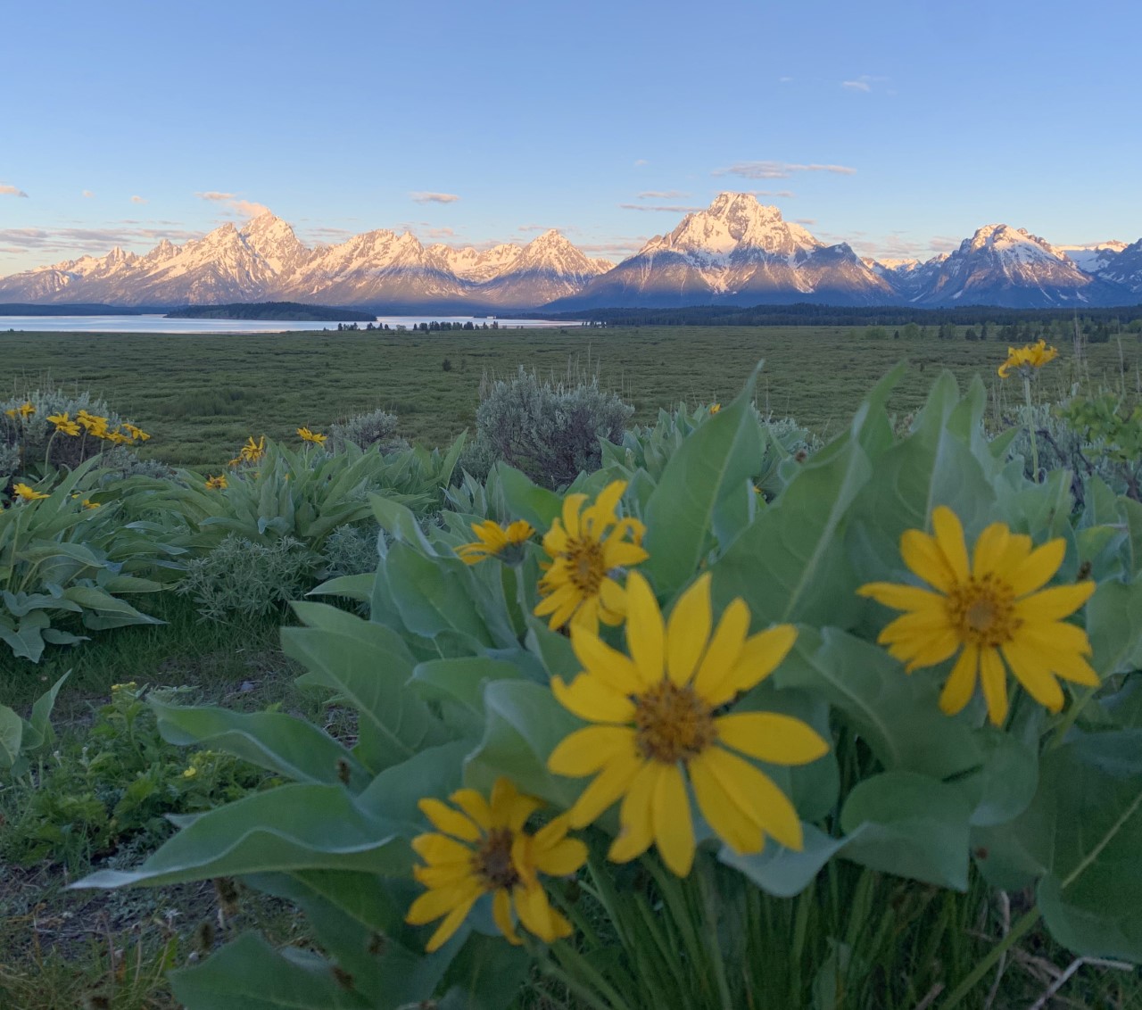 About Four Seasons Jackson Hole Culinary Agents