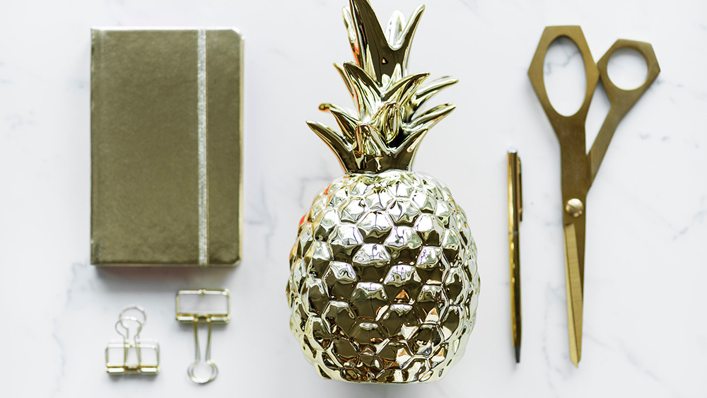 Certifications & Training Programs: Hospitality