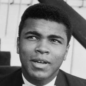 Matt Stone's professional profile Culinary Agents