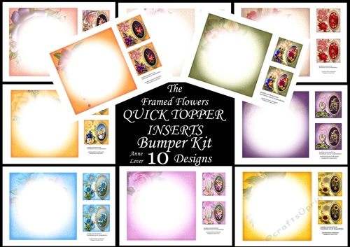 Custom Topper Insert The Framed Flowers QUICK TOPPER INSERTS Bumper Kit - CUP1111788_1763 ...