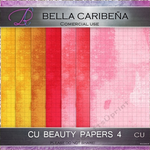 95298 essay 08 image