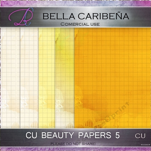 95298 essay 06 picture