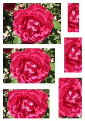 Pink Rose Pyramid 3 - CUP272238_1051 | Craftsuprint