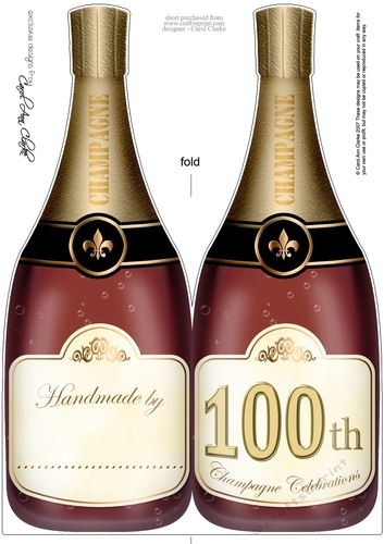Large DL Happy 100th Birthday Champagne Bottle Shaped Card - CUP756699 ...