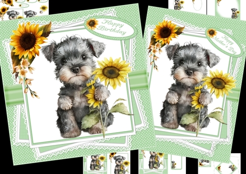 Giftsforall Hs261 Personalisierte Grußkarte Mit Schnauzer-Motiv – A5 (210x150 Mm), Mit Umschlag, Für Geburtstag & Anlässe