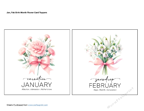 Jan Toppers Jan Feb Birth Month Flower Card Toppers - CUP1363848_87117 | Craftsuprint