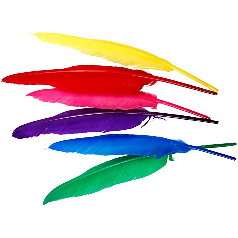 Hen Feathers, 27 cm, Asstd Colours, 12 Asstd CC51819 Craftsuprint