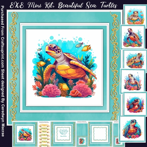 8x8 Mini Kit, Beautiful Sea Turtles - CUP1244506_1398 | Craftsuprint