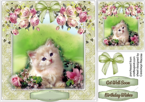 Cute Kitten and Pink Roses - CUP836070_1398 | Craftsuprint