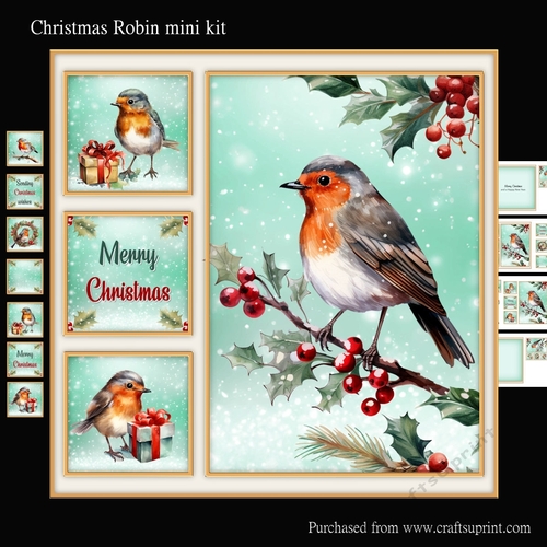 Christmas Robin mini kit - CUP1263044_566 | Craftsuprint