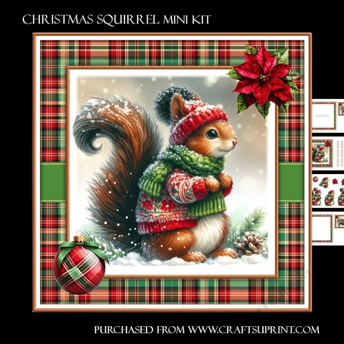 Christmas Squirrel - CUP1345918_566 | Craftsuprint