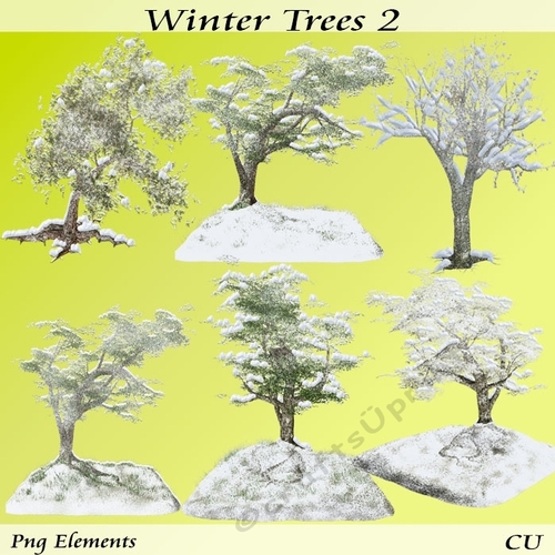 Winter Trees 2 Png - CUP998877_2232 | Craftsuprint
