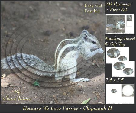 Because We Love Furries - Chipmunk 2 Pyramid + Insert & Tag - CUP658693 ...