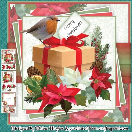 Robin Parcel Mini Kit - CUP1169634_72307 | Craftsuprint