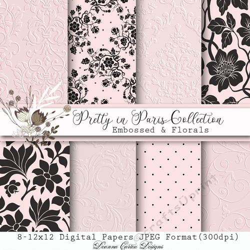 Paris anthology personal narrative: anna analysis picture