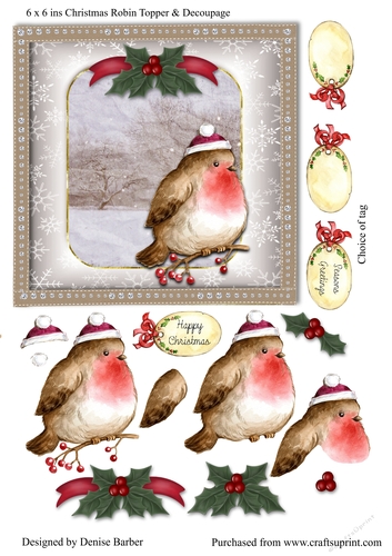 300dpi 6 x 6ins Christmas Robin card topper & decoupage, choice of tag ...