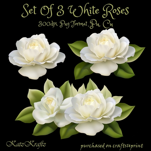 Set Of 3 White Roses - CUP880001_2248 | Craftsuprint