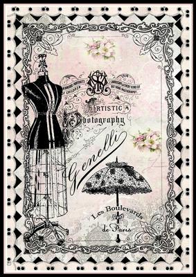 Fashion background essay picture