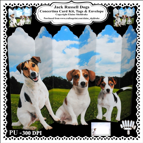 Jack Russell Dogs Concertina Card Kit With Greetings Tags Decoupage