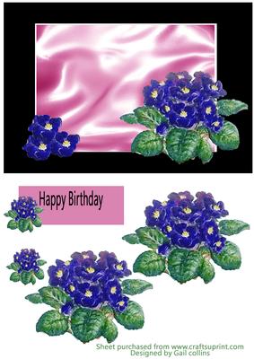 African Violets - CUP218997_695 | Craftsuprint
