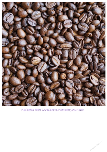 Authentic frijoles refritos recipe picture