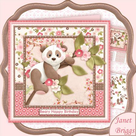Beary Special Panda Female Birthday or Get Well Mini Kit - CUP621827_68