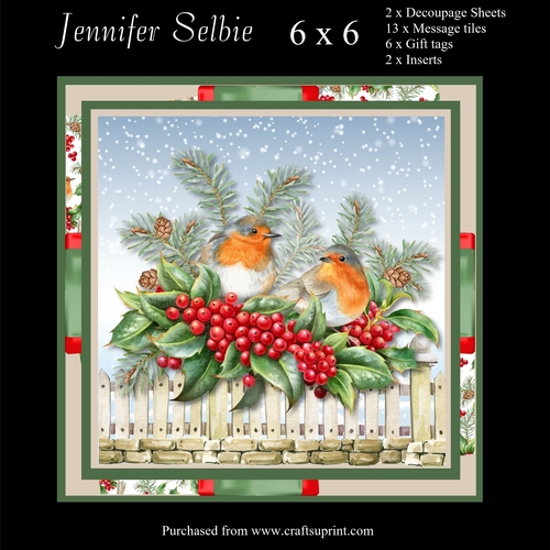 Two Robin sitting on fence card size 6 x 6 - CUP1173098_9955 | Craftsuprint