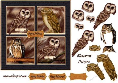 Owl Birthday or Retirement - CUP963635_2606 | Craftsuprint
