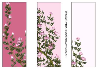 Set of Three Romantic Roses Bookmarks - CUP171346_572 | Craftsuprint