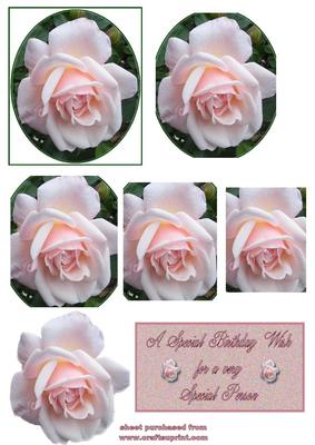 Pink Rose Pyramid - CUP64368_3 | Craftsuprint