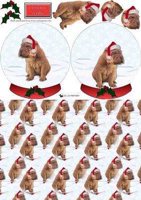 Shar pei christmas cards
