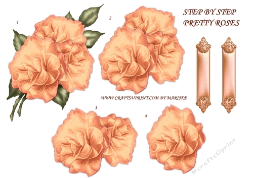 Step By Step Pretty Roses 6 - CUP1026807_936 | Craftsuprint
