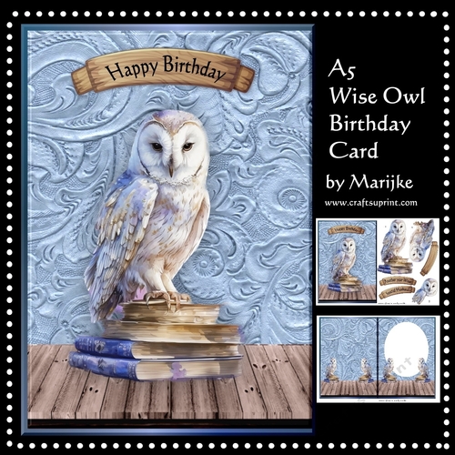 A5 Wise Owl Birthday Card - CUP1212468_936 | Craftsuprint