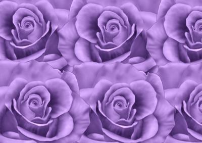 A4 Purple Roses Background - CUP530589_936 | Craftsuprint