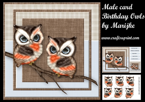 Male Card Birthday owls Mini Kit - CUP713876_936 | Craftsuprint