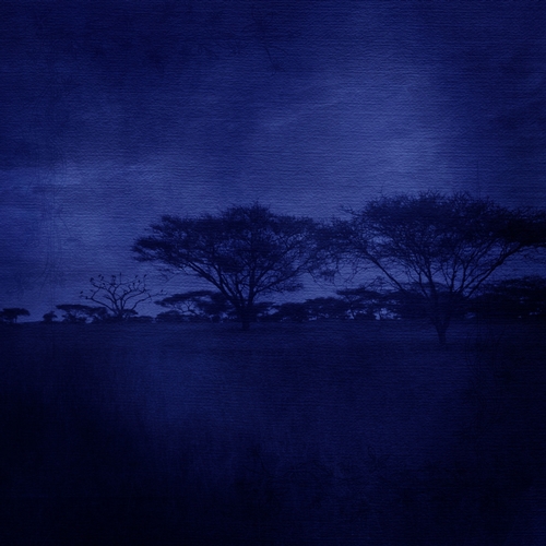 Dark Blue Color African Scenery Digital Paper Background - CUP740094
