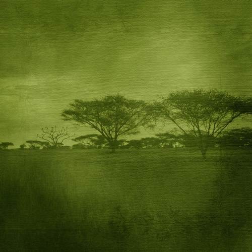 Green Color African Scenery Digital Paper Background CUP740099_70864