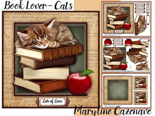 happy birthday book lover