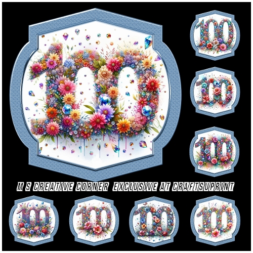 8 DIFFERENT 100TH NUMBERS - CUP1384899_2246 | Craftsuprint