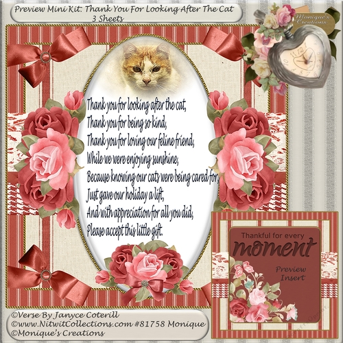 Mini Kit Thank You For Looking After The Cat ! CUP862397_2246